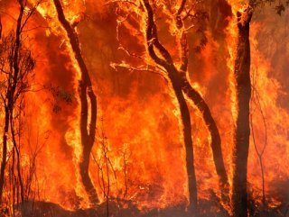 NASA, Kaliforniya yangınlarını uzaydan görüntüledi