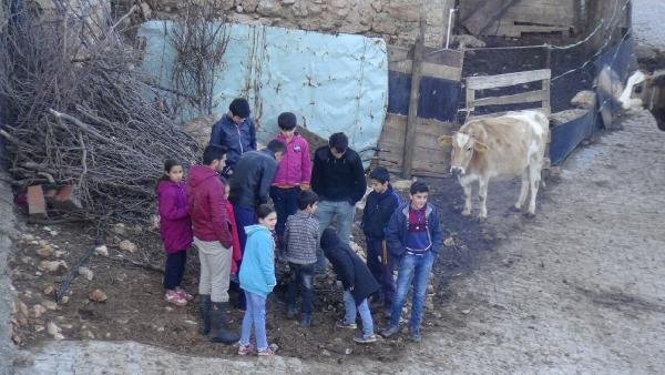 Bu köyde kimse sigara içmiyor