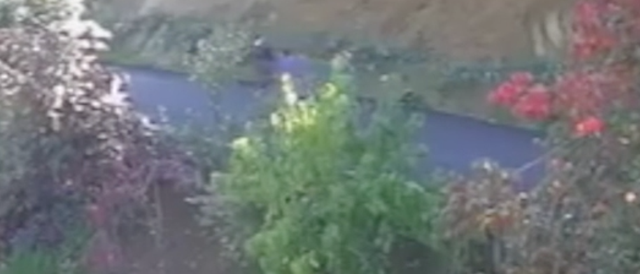 Kaybolan anne ve oğlunun görüntüleri ortaya çıktı - Resim: 0